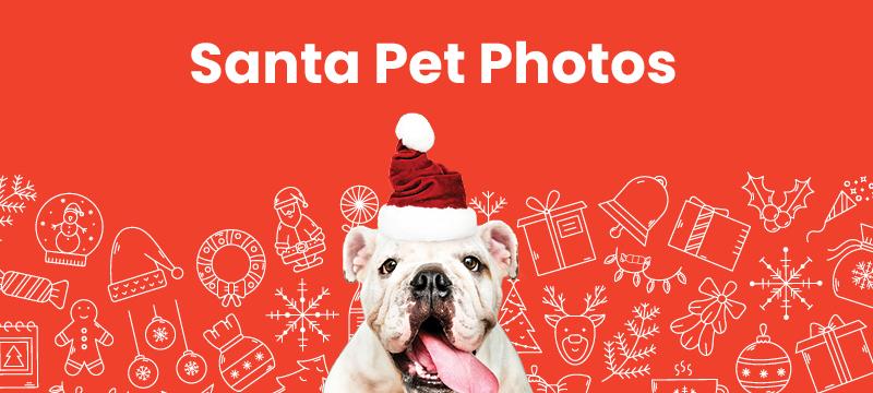 Santa Pet Photos 2021