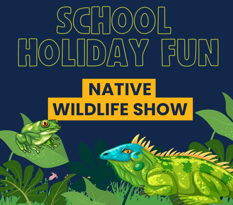 School holidays wildlife show